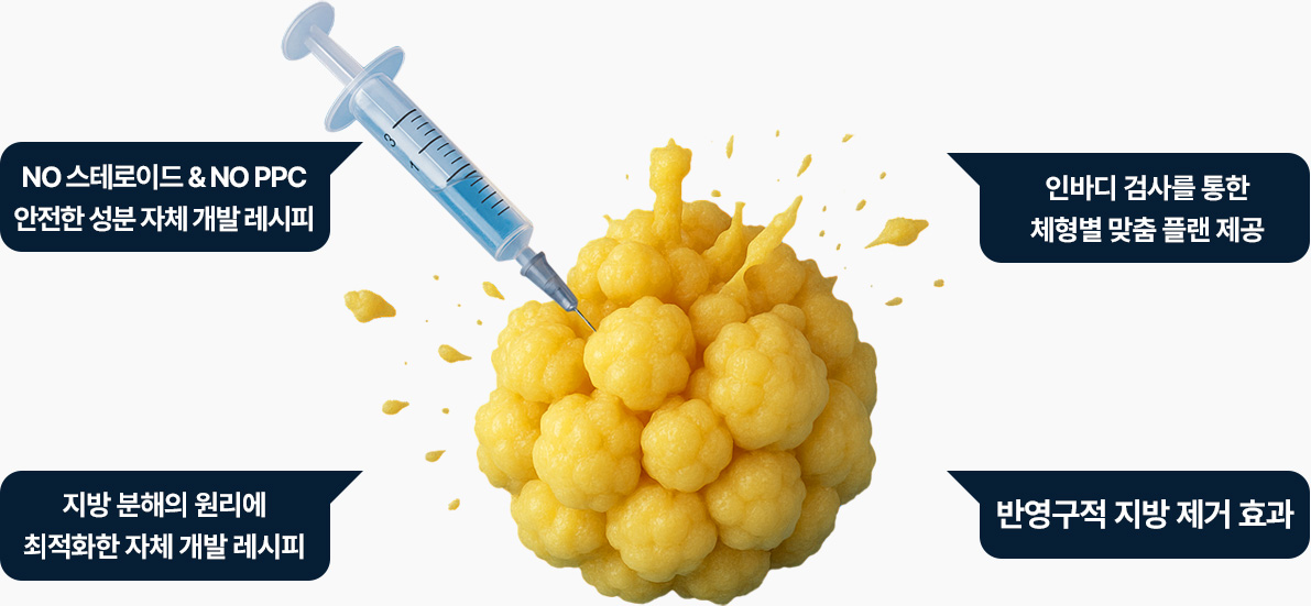 원더풀 원더핏주사 지방분해주사 피하지방파괴 no스테로이드 인바디 검사 체형별 맞춤 플랜 안전한 성분 자체개발 레시피 반영구적 지방제거