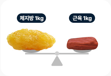 지방분해주사 원더핏주사 체지방 근육