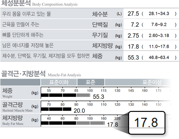원더핏주사(바디) 지방분해주사