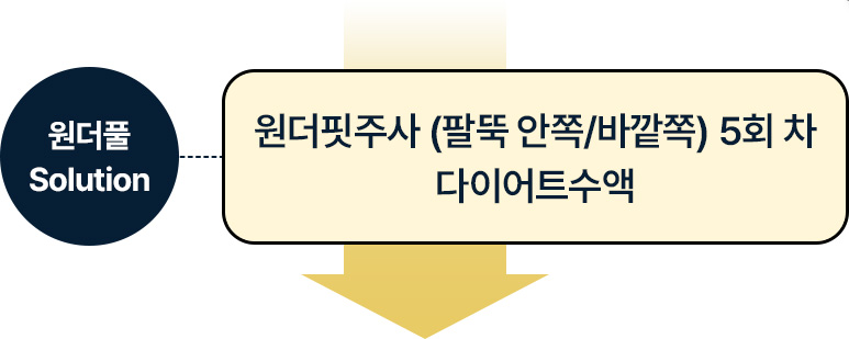 원더핏주사(바디) 지방분해주사