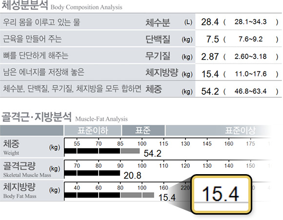 원더핏주사(바디) 지방분해주사 시술 후 후기 인바디 체지방 15.4
