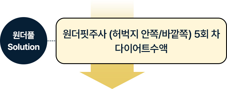 원더핏주사(바디) 지방분해주사