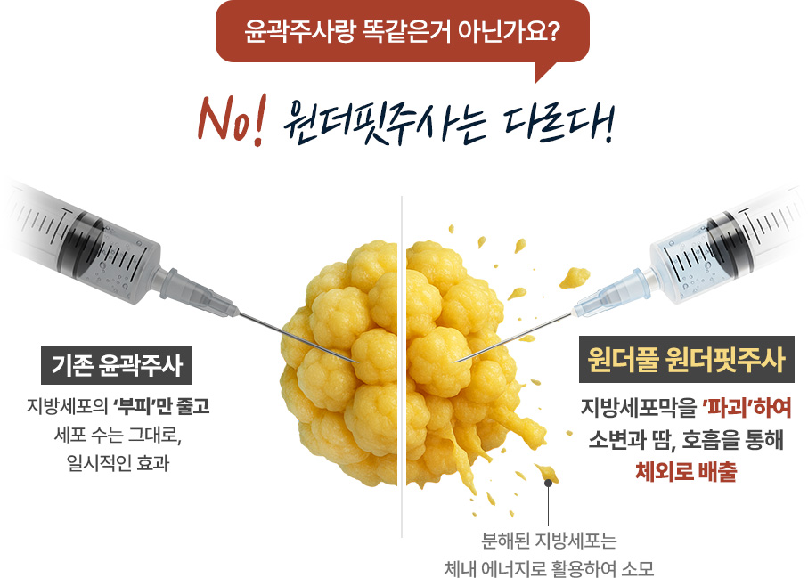 지방분해주사 윤곽주사와 원더핏주사 차이점 분해된 지방세포 체내 에너지 활용하여 소모