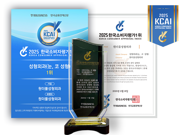 2025년 한국소비자평가 1위