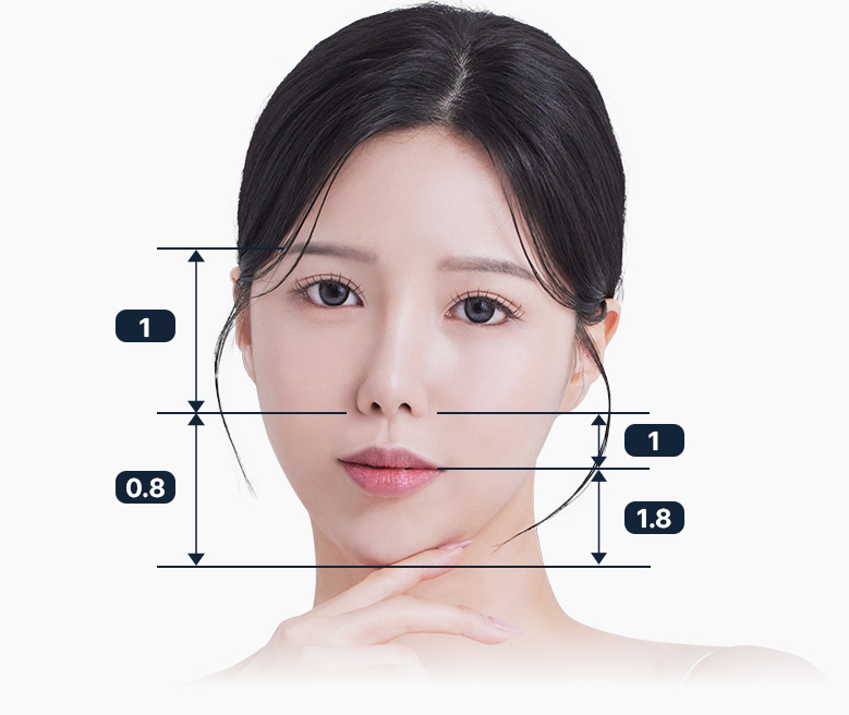 사각턱수술 심부볼 저작근 하악각