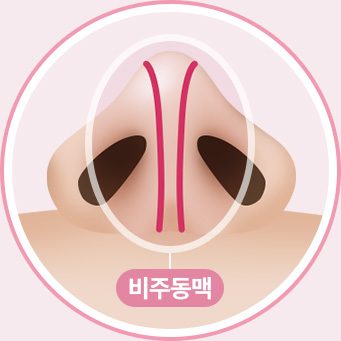 코재수술 혈류 비주동맥