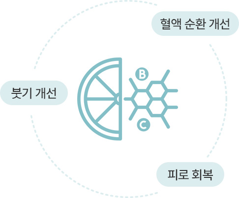원더풀 수액 클리닉 비타민수액 붓기제거 피로회복 혈액순환개선