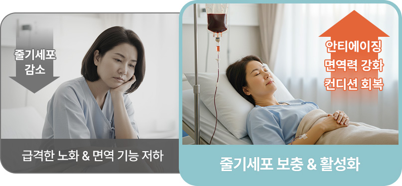 원더풀 줄기세포 줄기세포 감소 시 급격한 노화 면역기능저하 줄기세포 보충 활성화되면 안티에이징 면역력강화 컨디션회복